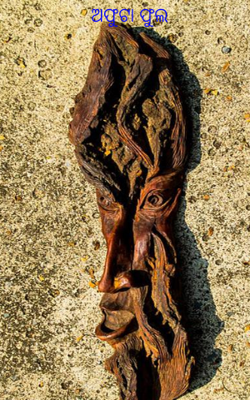 ଅଫୁଟା ଫୁଲ