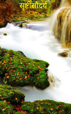 सृष्टीसौंदर्य