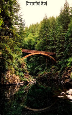 निसर्गाचं देणं