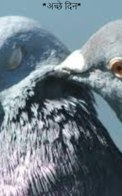 **गुफ्तगू**