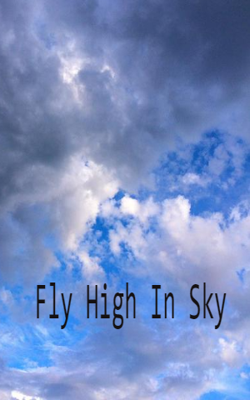 Fly High In Sky