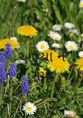 આવ્યો ને ગયો