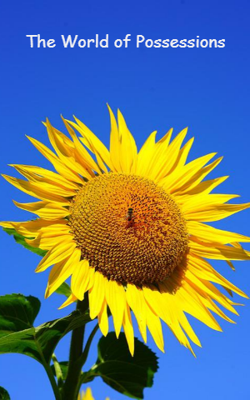 The World Of Possessions