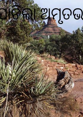 ପାଚିଲା ଅମୃତଭଣ୍ଡା