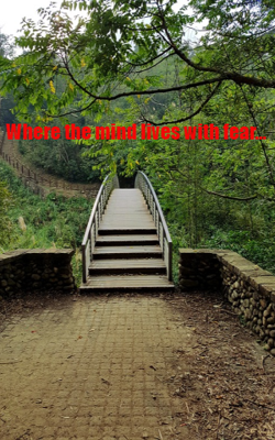 Where The Mind Lives With Fear...