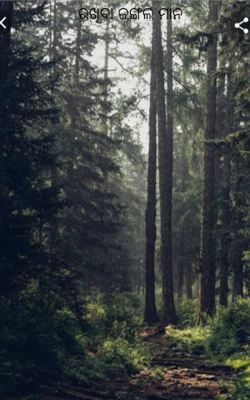 ରଖିବା ଜଙ୍ଗଲ ମାନ