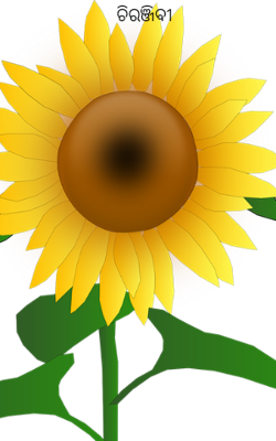 ଚିରଞ୍ଜିବୀ