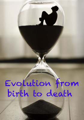 Evolution From Birth To Death