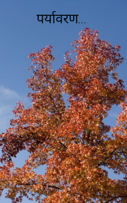 पर्यावरण...