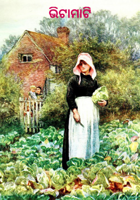 ଭିଟାମାଟି