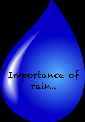 Importance Of Rain...