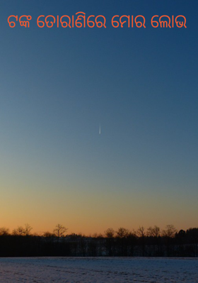 ଟଙ୍କ ତୋରାଣିରେ ମୋର ଲୋଭ