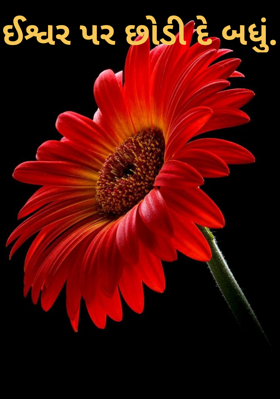 ઈશ્વર પર છોડી દે બધું