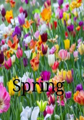 Spring