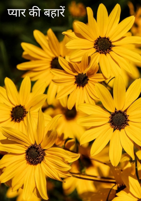 प्यार की बहारें