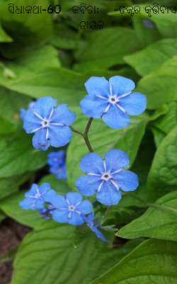 ସିଧାକଥା-60