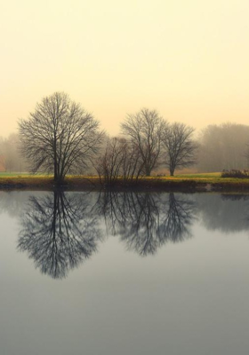 ସପନର ଶେଷ (ବକ୍ତବ୍ୟ)