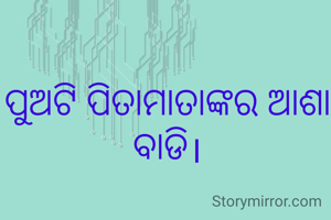 ପୁଅଟି ପିତାମାତାଙ୍କର ଆଶା ବାଡି।