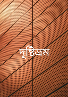 দৃষ্টিভ্রম 