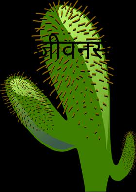 जीवनसाथी