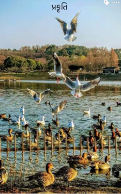 પ્રકૃતિ