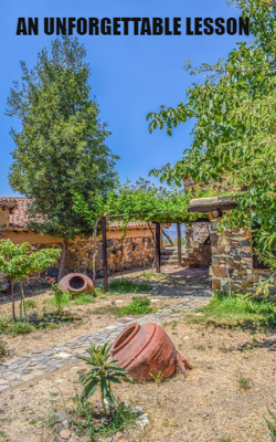 An Unforgettable Lesson