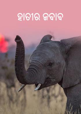 ହାତୀର ଜବାବ