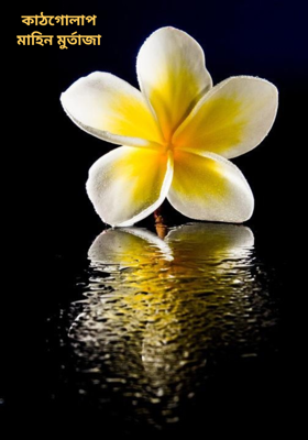 কাঠগোলাপ 
মাহিন মুর্তাজা 