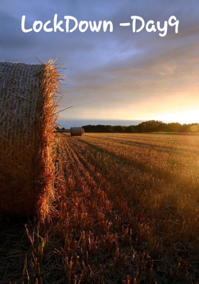 Lockdown - Day 9
