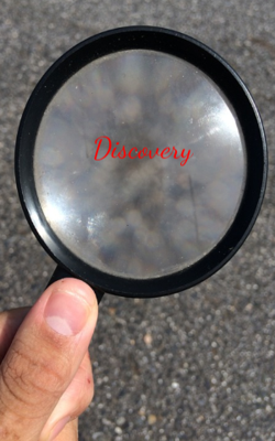 Discovery