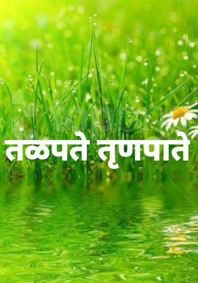 तळपते तृणपाते