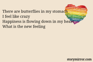 There are butterflies in my stomach
I feel like crazy
Happiness is flowing down in my heart
What is the new feeling