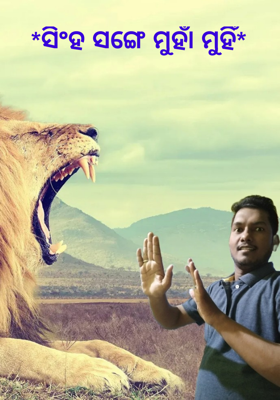 ସିଂହ ସଙ୍ଗେ ମୁହାଁ ମୁହିଁ