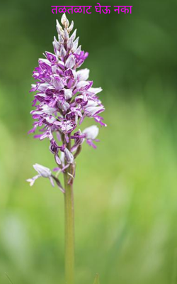 तळतळाट घेऊ नका