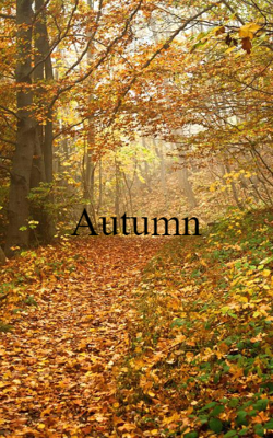 Autumn