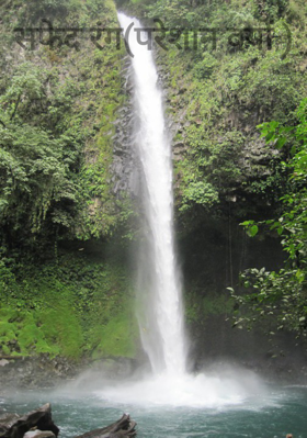 सफेद रंग(परेशान क्यों )