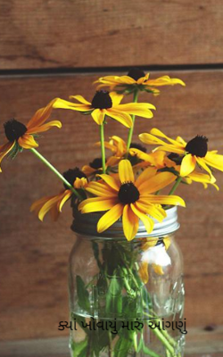 ક્યાં ખોવાયું મારું આંગણું