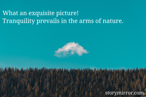 What an exquisite picture!
Tranquility prevails in the arms of nature.