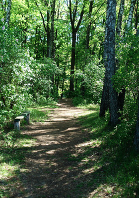 ଅଫୁଟତ ଅଫୁଟଂତ କଳିକା ଗୁଡିକ ଅନେକ