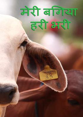 मेरी बगिया हरी भरी