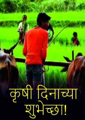 कृषी दिनाच्या शुभेच्छा!