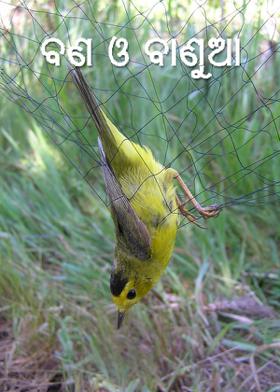 ବଣ ଓ ବାଣୁଆ