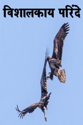 विशालकाय परिंदे