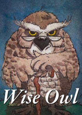 Wise Owl
