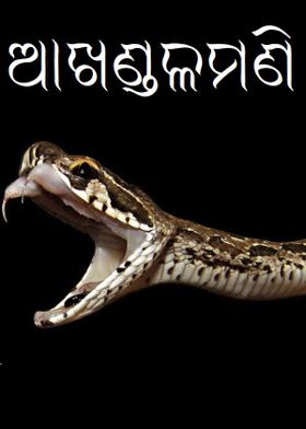 ଆଖଣ୍ଡଳମଣି