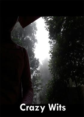 Crazy Wits
