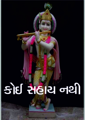 કોઈ સહાય નથી