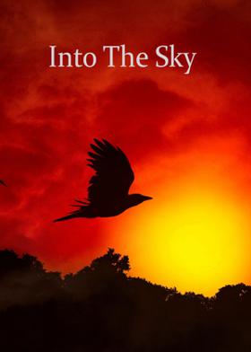 Into The Sky