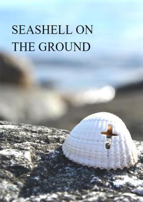 Seashell On The Ground