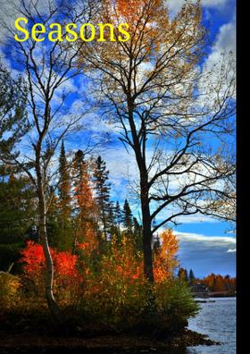 Seasons Haiku